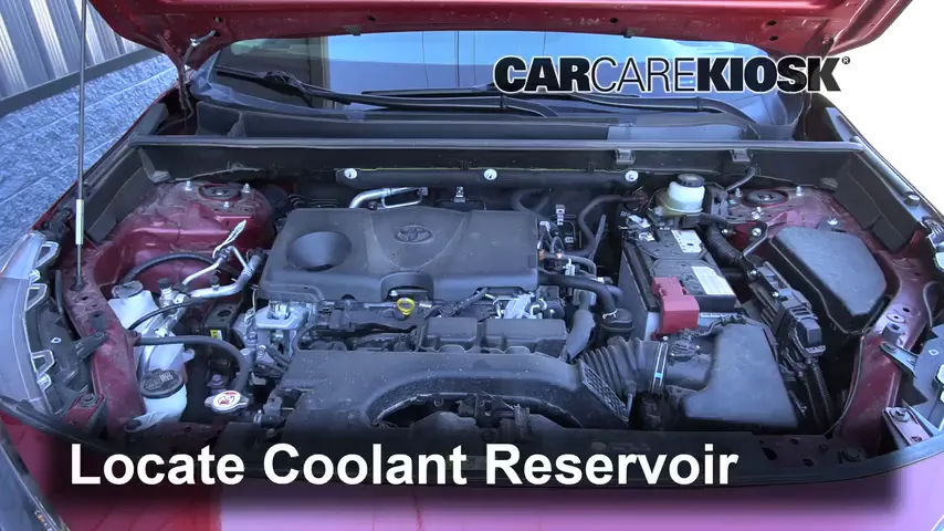 2019 Toyota RAV4 LE 2.5L 4 Cyl. Coolant (Antifreeze)